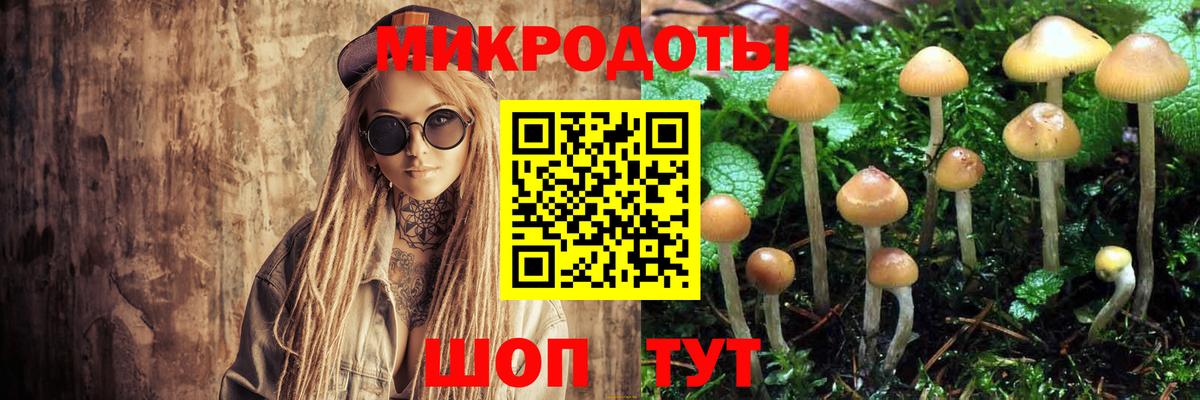 Псилоцибиновые грибы мицелий Электросталь
